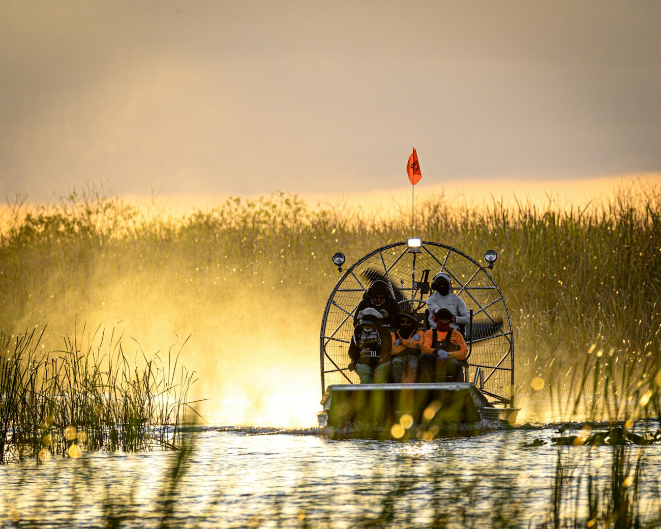 Airboat gliding through Everglades sawgrass at sunrise